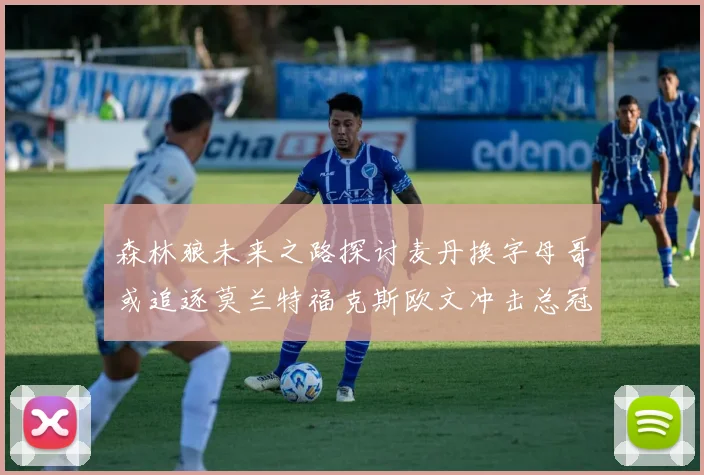 森林狼未来之路探讨麦丹换字母哥或追逐莫兰特福克斯欧文冲击总冠军
